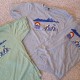 Colorado Green & Grey Shirt